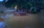 flooded_yard_07